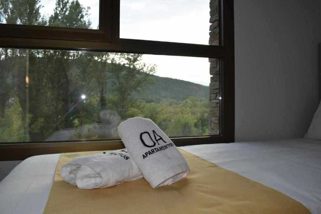 Apartamentos Ordesa Ainsa Bilik gambar
