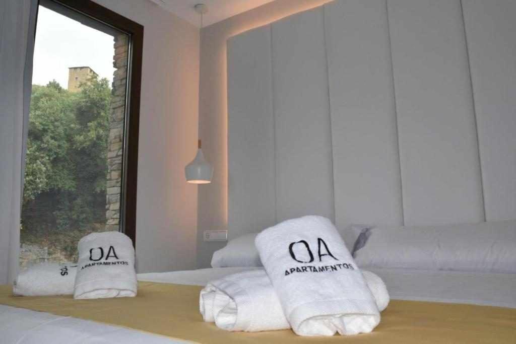 Apartamentos Ordesa Ainsa Bilik gambar